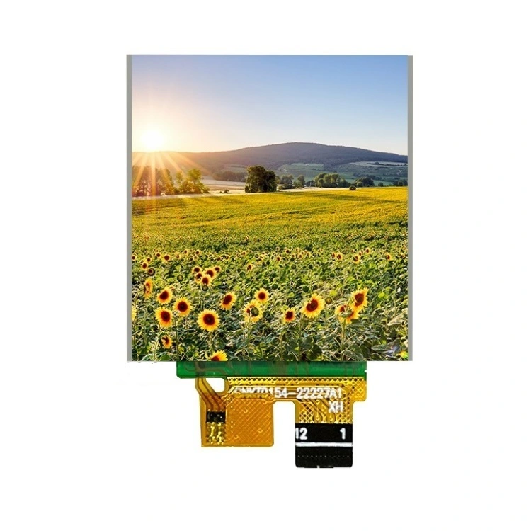 Afișaj LCD TFT de 1,54 inci