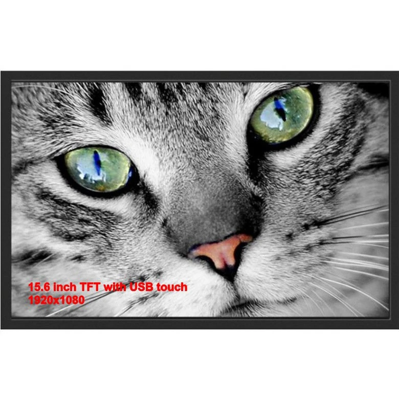 15,6 inch TFT cu monitor de atingere USB