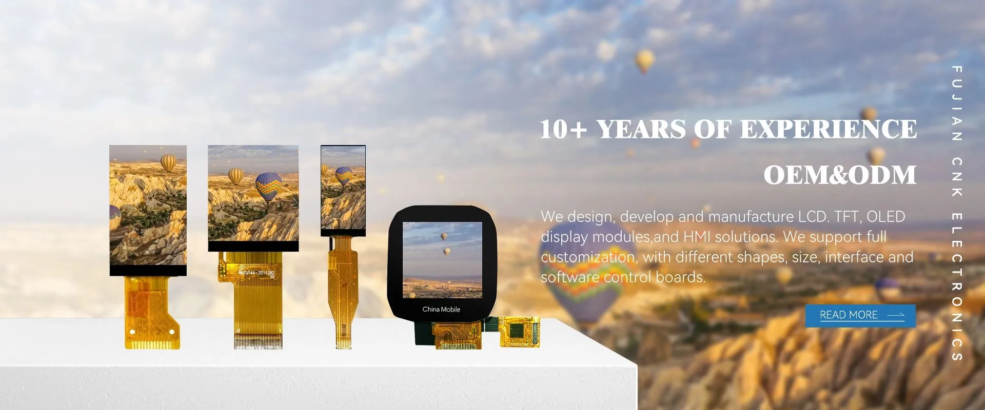 Fabrica de module OLED