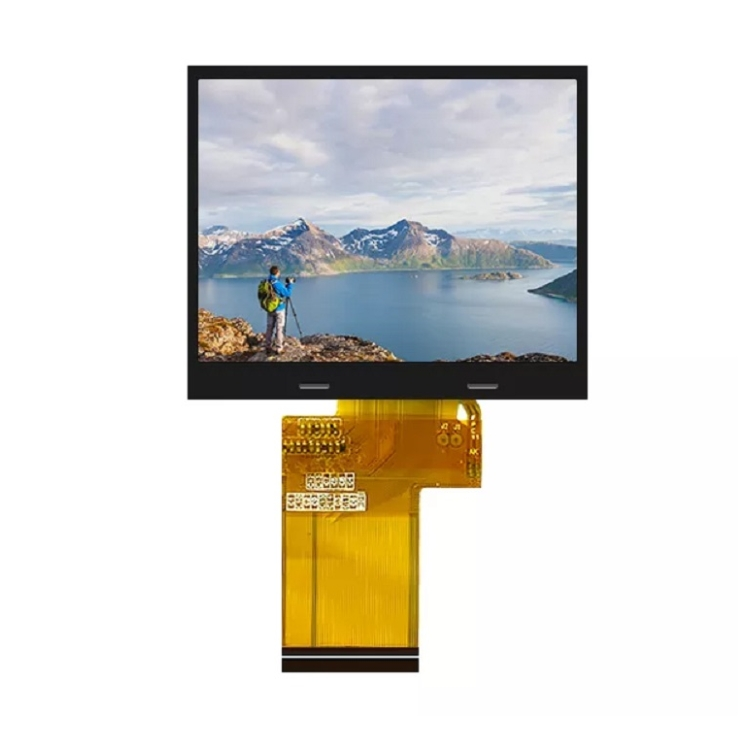 3,95 inch 480x480 TFT TFT