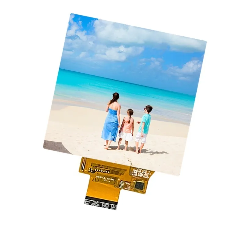 3,97 inch TFT Modul LCD MIPI MIPI